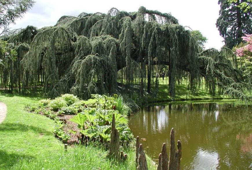 Arboretum de la Vallée aux Loups, Châtenay-Malabry, France, France